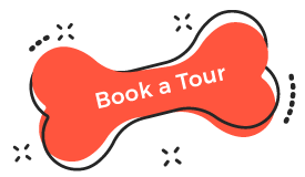 https://apcritter.com/wp-content/uploads/2019/08/book_tour.png